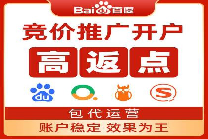 百度竞价排名之成功案例：看广告如何转化为销量